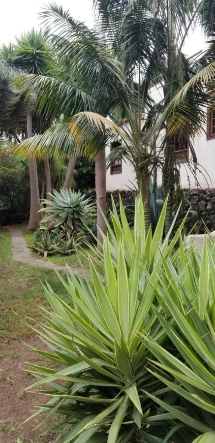 La Casita De La Vega Icod De Los Vinos