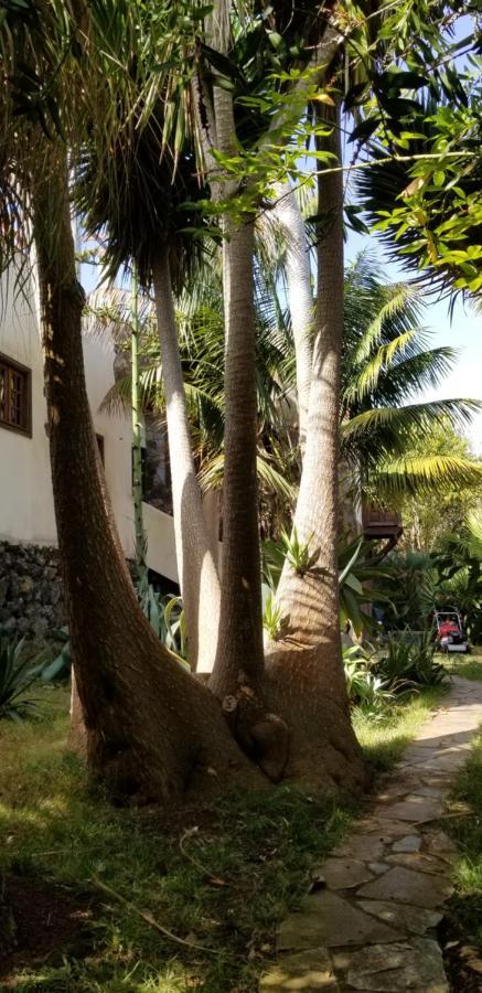 La Casita De La Vega Apartamento Icod De Los Vinos